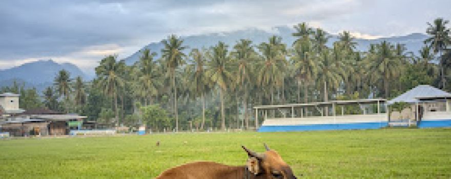 Lapangan Tampiala