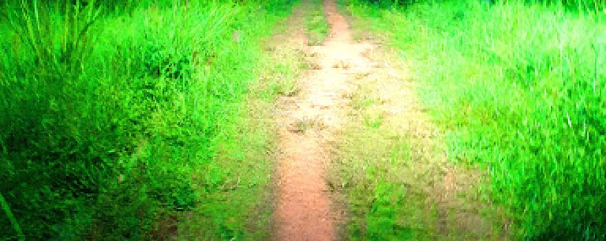 Jogging Track, Tank and Park