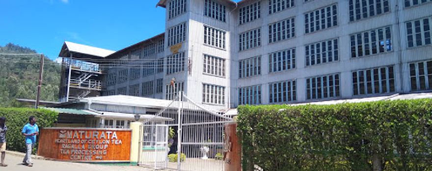 Ragala Tea Factory.