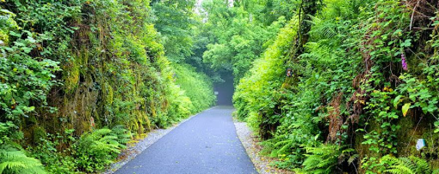 Ballyvoyle Tunnel