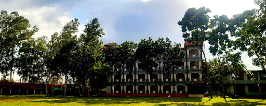 Degree College Playground