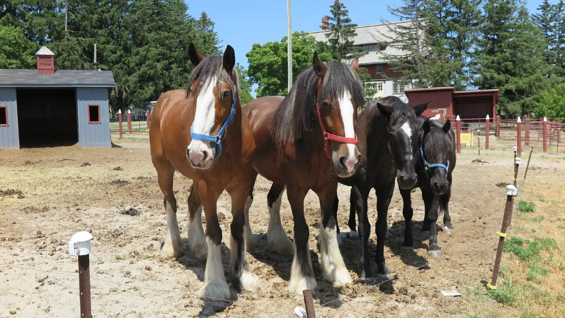 Hotels near Canada Agriculture and Food Museum