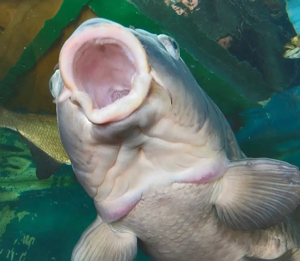 3_Lakes Aquarium