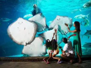uShaka Marine World