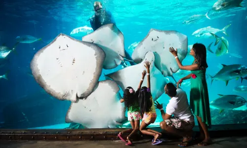 uShaka Marine World