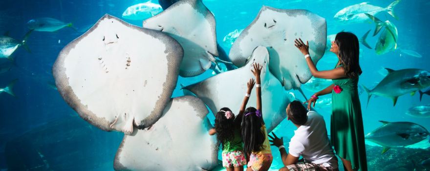 uShaka Marine World