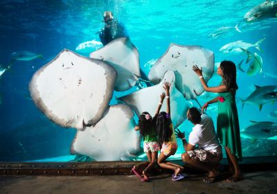 uShaka Marine World
