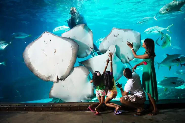 Hotel dekat uShaka Marine World