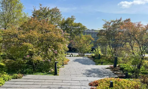 피파 본부