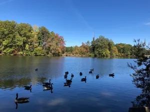 石頭山公園