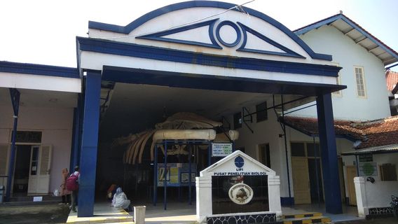 Museum of Zoology (Museum Zoologicum Bogoriense)