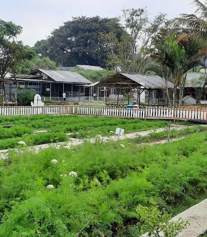 Parongpong