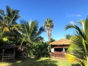 The House of Coco