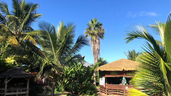 The House of Coco