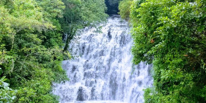 एलिफेंट फॉल्स, शिलांग