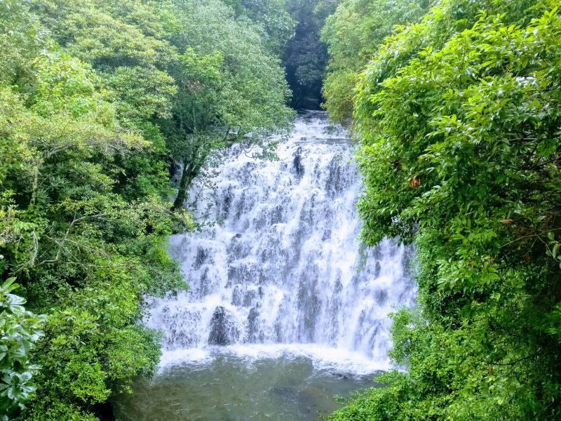 Warsaw to Shillong Flights