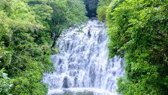 Elephant Falls, Shillong