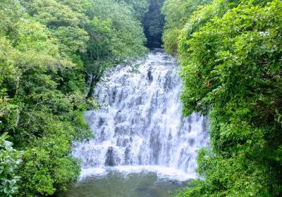 Shillong