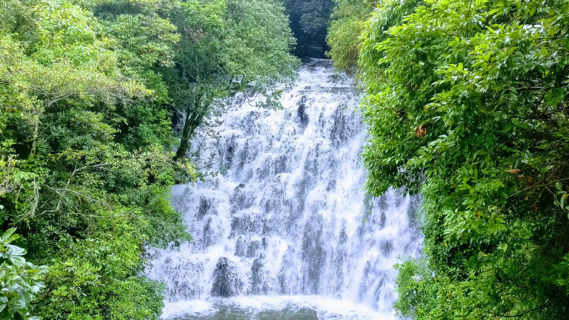 Hotels near Elephant Falls Shillong Meghalaya