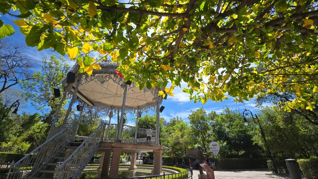 Flüge Kailua-Kona Aguascalientes