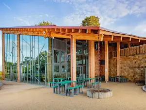 Sherwood Forest Visitor Centre