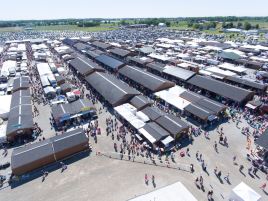 Shipshewana Flea Market (May-Sept)
