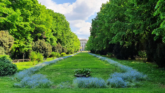 Парк Чишмиджиу