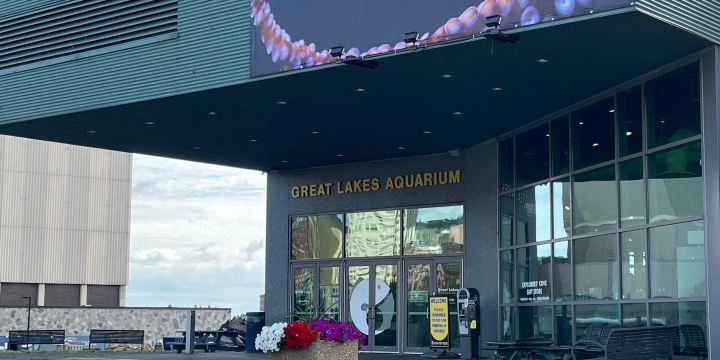 Great Lakes Aquarium