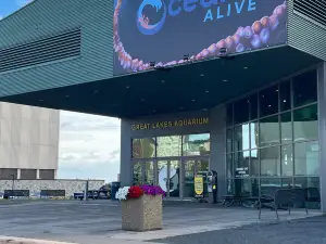 Great Lakes Aquarium