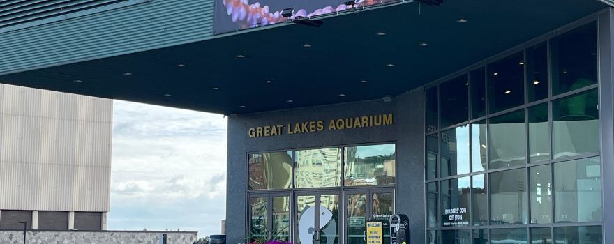 Great Lakes Aquarium