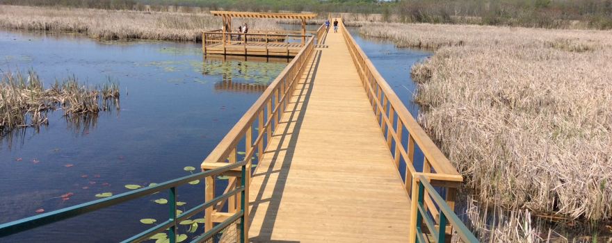 Wye Marsh Wildlife Centre