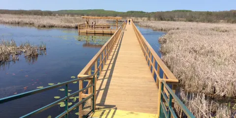 Wye Marsh Wildlife Centre