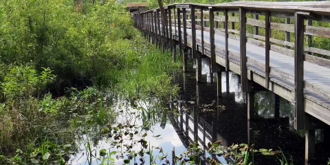 Great Swamp National Wildlife Refuge