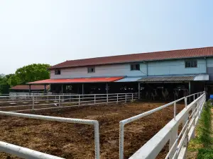 淡路島牧場