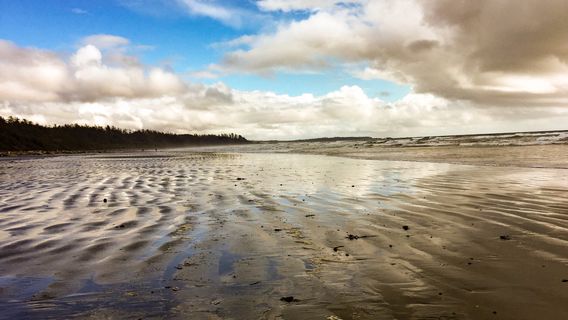 Tofino