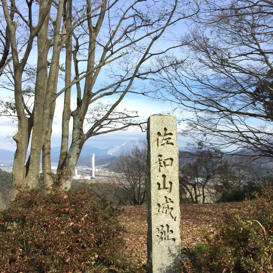 Hotels near Sawayama Castle Ruins