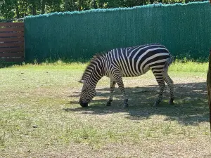 Lehigh Valley Zoo