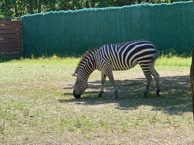 Lehigh Valley Zoo