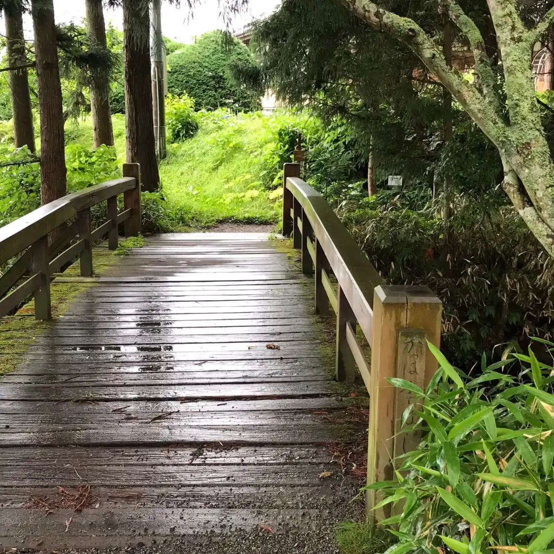 Hotels near Kappabuchi