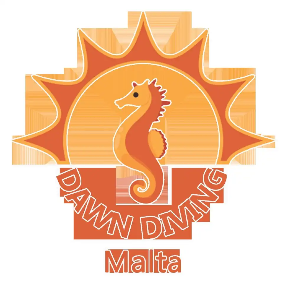 4_Dawn Diving