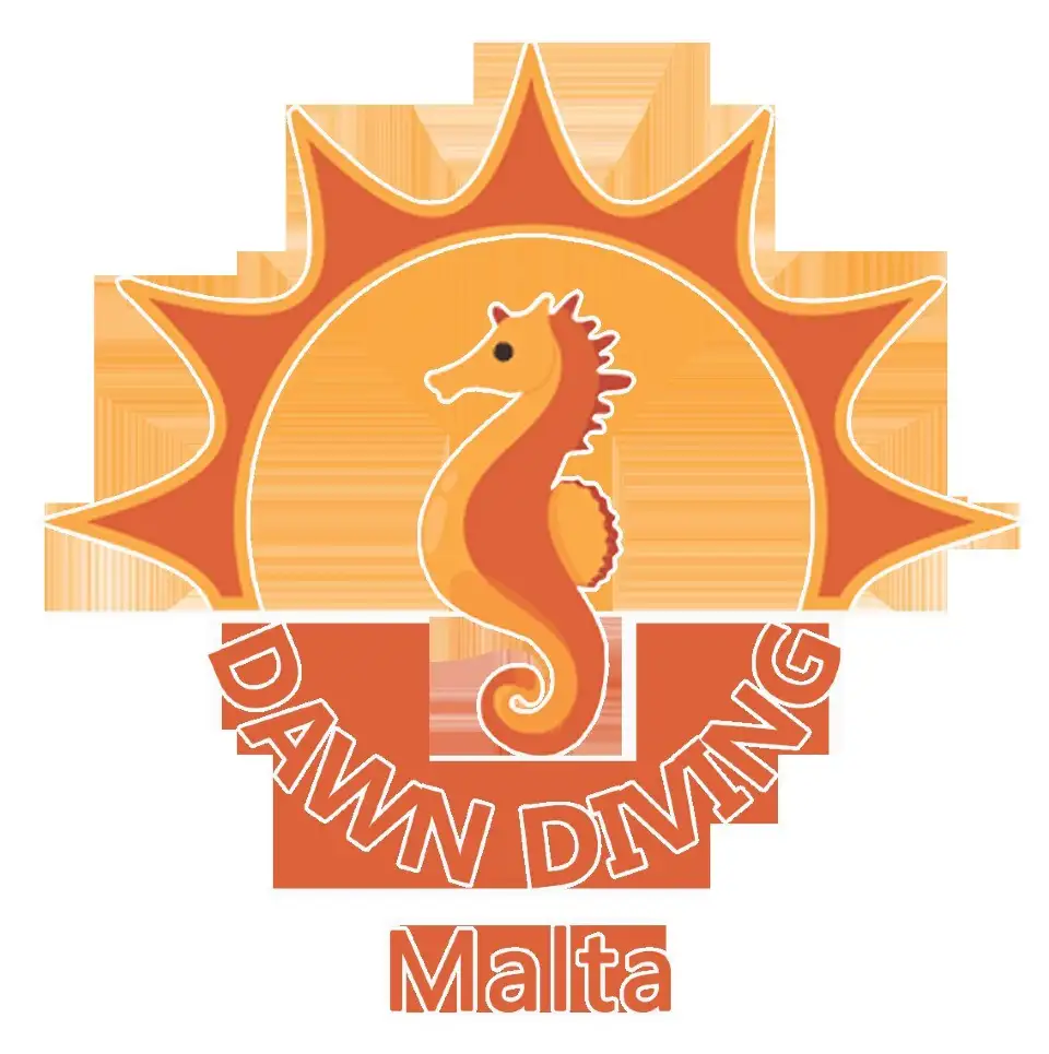 4_Dawn Diving
