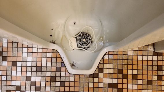 Martin Dies, Jr. State Park