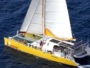 Paradoxe Croisieres Day Cruises