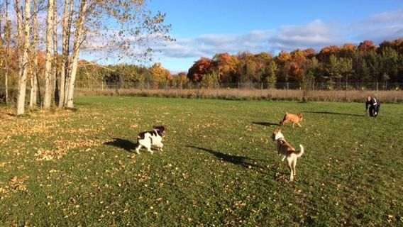 Sister Bay Dog Park