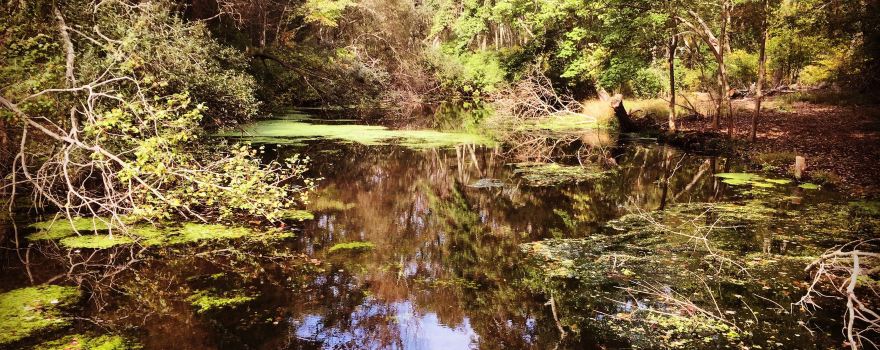 Caleb Smith State Park Reserve