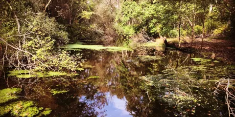 Caleb Smith State Park