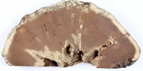 Japan,Nagano, Matsumoto Natural Art Museum Room