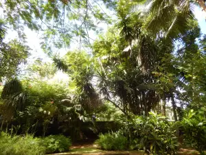 Jardin Botanique de Coconi