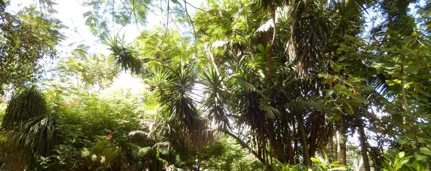 Jardin Botanique de Coconi