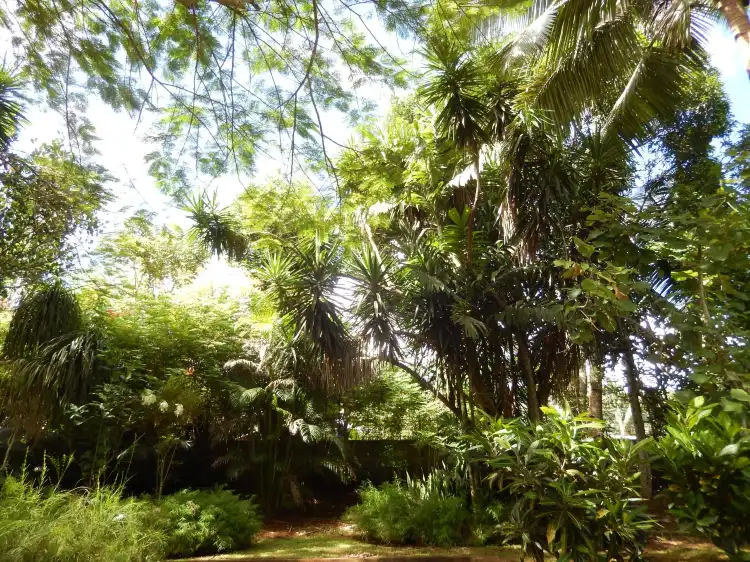 Hotels in Coconi